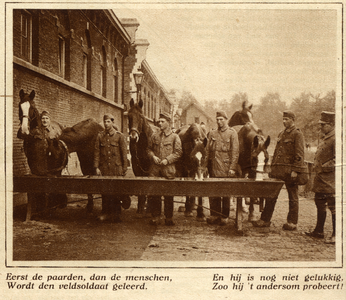 300083 Afbeelding van enkele militairen bij de verzorging van paarden op het terrein van de Kazerne der Veldartillerie ...